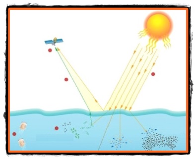 Patrunderea si actiunea radiatiilor ultraviolete in apa marilor